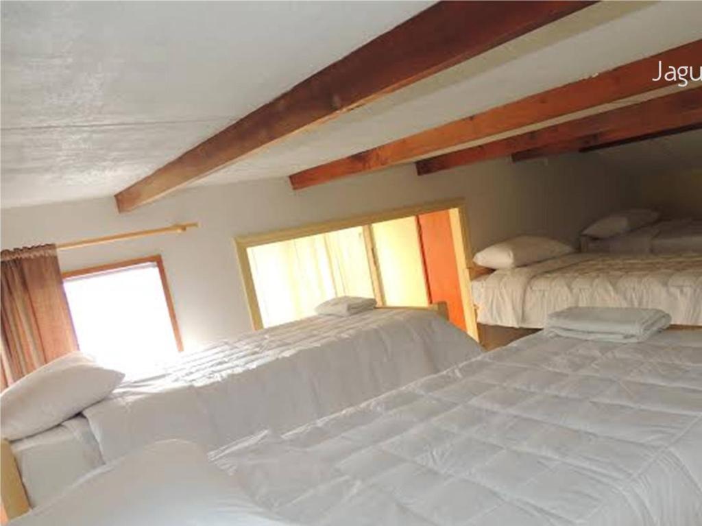 Hostel Jaguar Vina del Mar Quarto foto